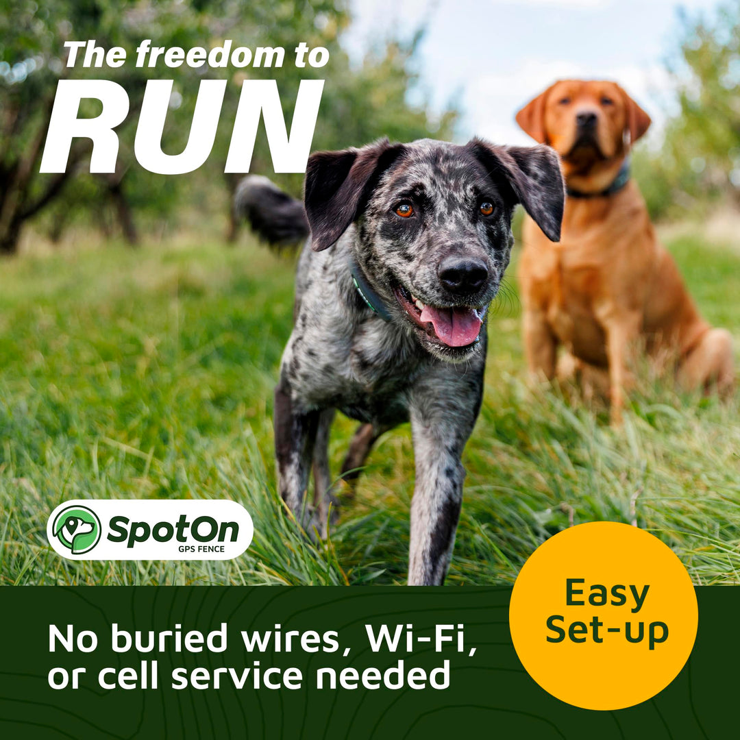 SpotOn GPS Dog Fence-App Based Wireless Waterproof Dog Fence Collar 128 Satellite Network GPS Dog Fence System