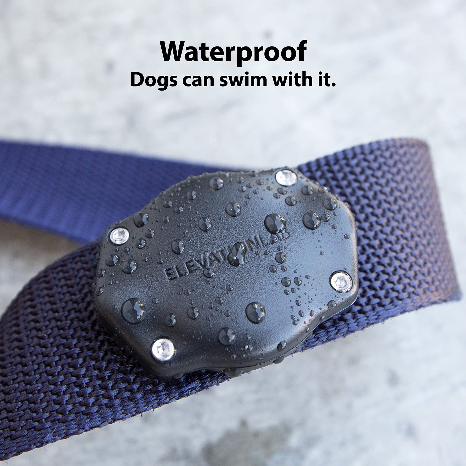 AirTag Dog Collar Mount - Waterproof, universal fit, and no-dangle design for tracking your pet.