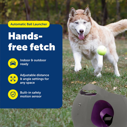 PetSafe Automatic Ball Launcher – Interactive Dog Fetch Toy with Safety Sensors & — alternate view 1
