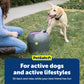 PetSafe Automatic Ball Launcher – Interactive Dog Fetch Toy with Safety Sensors & Adjustable Distance