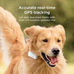 Load image into Gallery viewer, Petcube GPS Tracker | Escape and Virtual Fences Alerts -Wellness Monitoring, Glows in a Dark, Water Dust Proof
