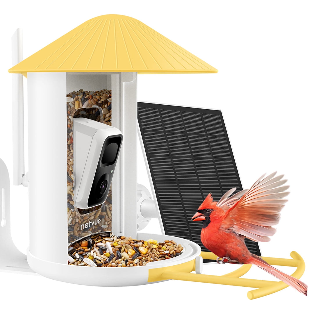 Netvue Birdfy Bird Feeder with Camera and solar panel in a garden setting