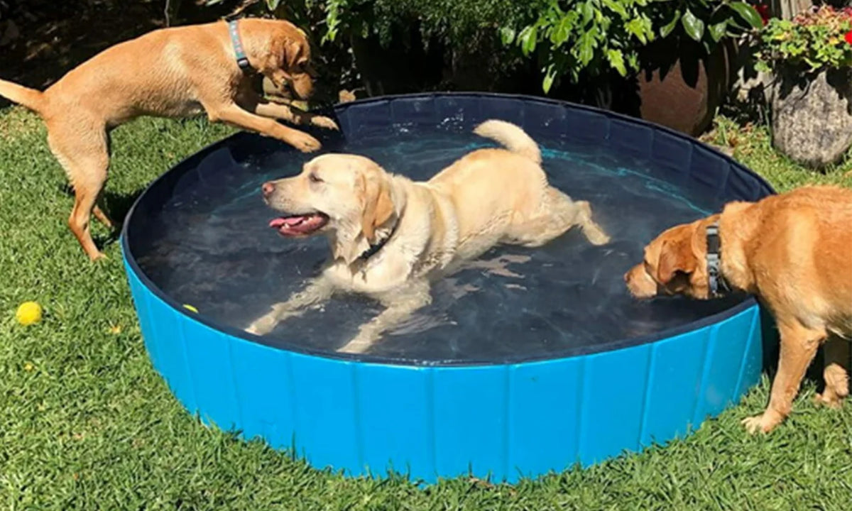 1Pc 160 X 160 X 30Cm-63.0 X 63.0 X 11.8Inch Foldable Pet Swimming Pool PVC Dog Swim Pool Bathing Tub Playmat Pools