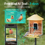 Load image into Gallery viewer, Close-up of the squirrel-proof Birdfy Bird Feeder filled with seeds
