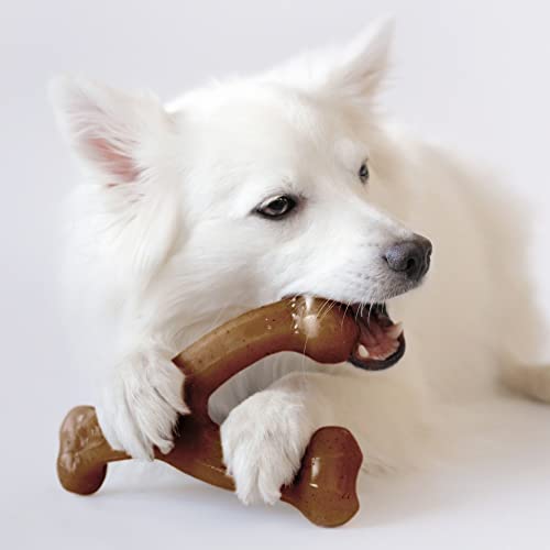 Medium Benebone Bacon Chew Toy for Aggressive Chewers - USA Made