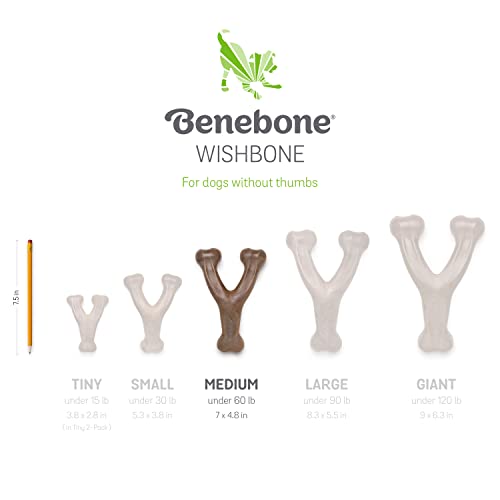 USA-Made Benebone Medium Bacon Flavored Chew Toy for Tough Chewers.
