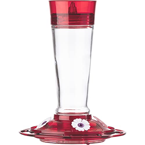 Ruby Glass Hummingbird Feeder, 4 Stations, 10 oz