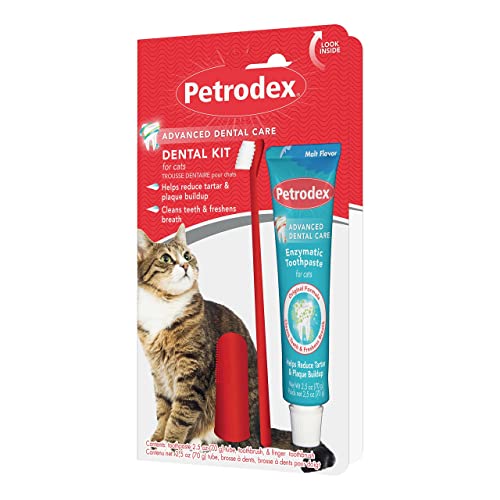 Cat Dental Care Kit: Toothbrush & Toothpaste, Malt Flavor