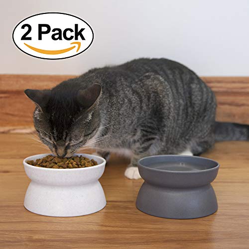 Kitty City Raised Cat Feeder & Waterer - Elevated Bowls for Stress-Free Eating and Drinking.
