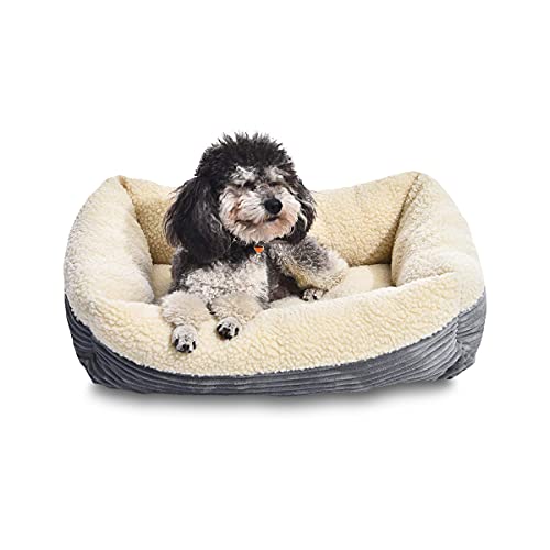 Amazon Basics 24-Inch Self Warming Pet Bed For Cat or Dog, Rectangle, Grey, 24"L x 7"W x 20"H