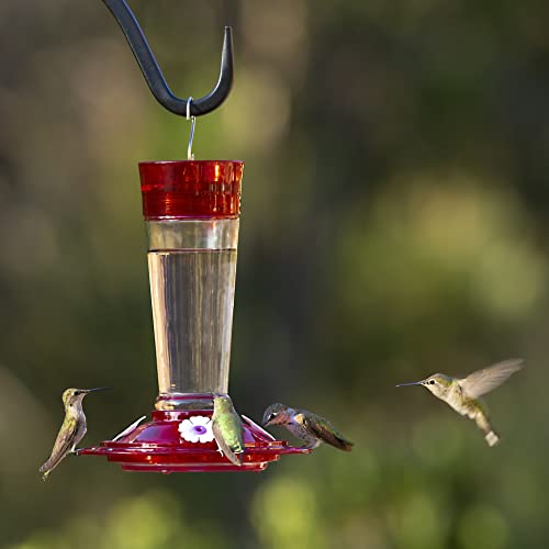 Ruby Glass Hummingbird Feeder, 4 Stations, 10 oz