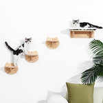 Load image into Gallery viewer, Cat Wall Mounted Hanging Resting Playing Perch Shelves
