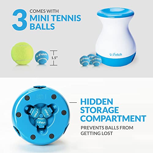 iFetch Frenzy – Non-electric brain game for small dogs! Drop the ball, watch it roll randomly, and keep your pup engaged. No power needed, just fun! 🎾🐶