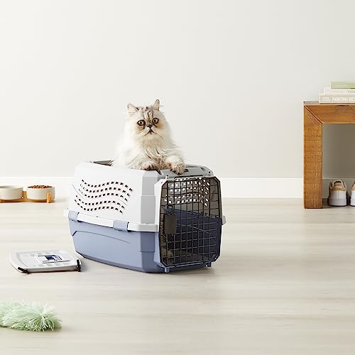 Pet Travel Carrier 23-Inch - Gray/Blue