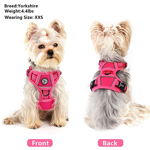 No Pull Dog Harness Dog Harness for Small Dogs Step-in Air Dog Harness All Weather Mesh Vest Harness for Small and Medium Dogs Adjustable Reflective Pet Walking Harness for Training (Rose, Small)