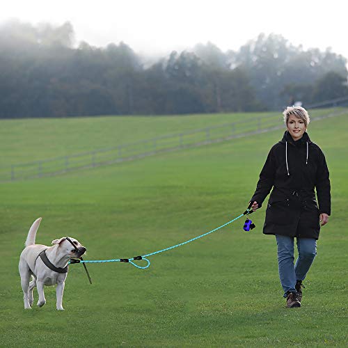 6ft Long Heavy Duty Reflective Padded Training Control Dog Leash- Double Handles