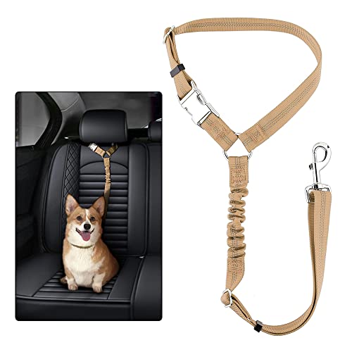 Adjustable Vehicle Seatbelt Harness with Elastic Bungee for Car Ride Safety