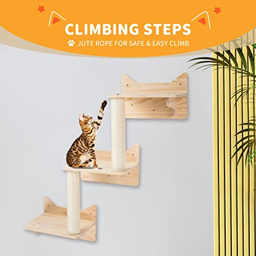 Cat Climbing Wall Frame 5 piece Furniture