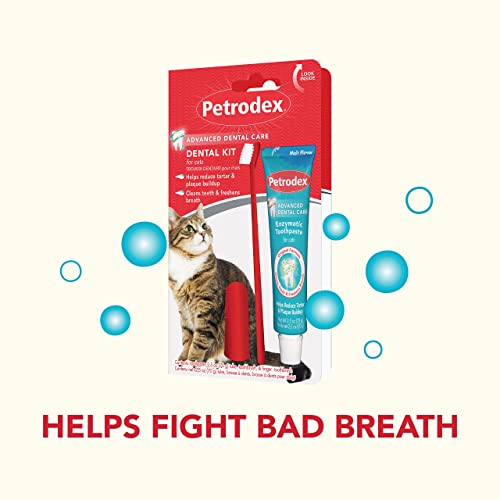 Cat Dental Care Kit: Toothbrush & Toothpaste, Malt Flavor