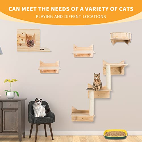 Cat Climbing Wall Frame 5 piece Furniture