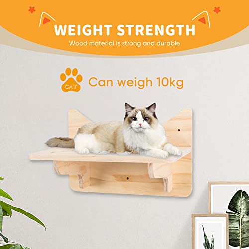 Cat Climbing Wall Frame 5 piece Furniture