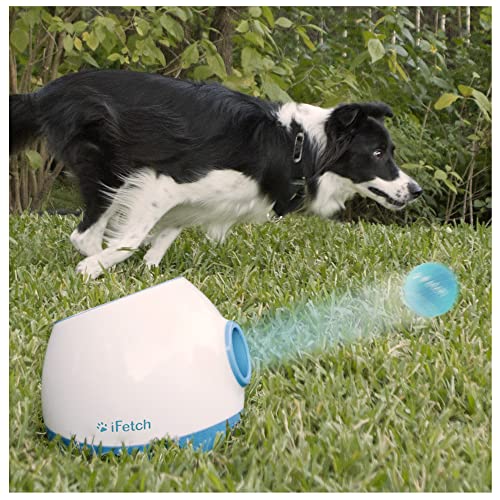 Non-Electronic iFetch Frenzy - Brain Teaser Fetch Toy for Small Dogs' Mental Stimulation.