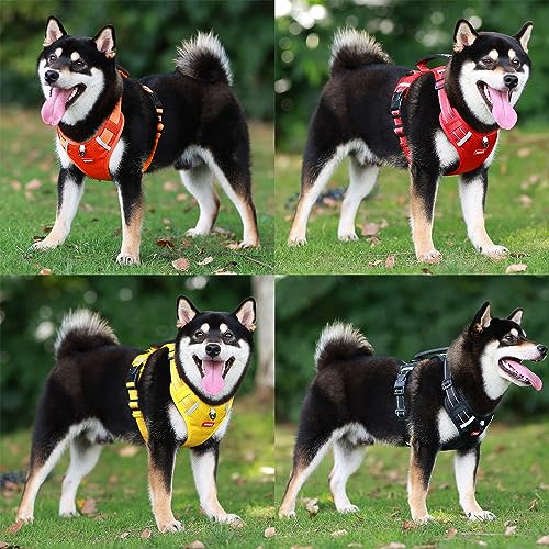 TFTSR No Pull Dog Harness Leash Set for Small Medium Large Dogs,Include Reflective Oxford Adjustable Vest,5ft Reflective Leash Which Handle Soft, Doggy Seatbelt,Poop Bag Dispenser with 15 Waste Bags