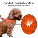 Load image into Gallery viewer, Plutus Pet No Pull Dog Harness with Breathable Mesh Padded, Adjustable Reflective Escape Proof Dog Harness, Quick Fit Dog Vest Harness for Small Medium Large Dogs(S, Orange)
