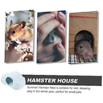 Load image into Gallery viewer, Ceramic Hamster Cooling House for Small Pets
