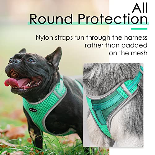 ThinkPet Reflective Breathable Soft Air Mesh No Pull Puppy Choke Free Over Head Vest Harness for Puppy Small Medium Dogs and Cats Teal Small