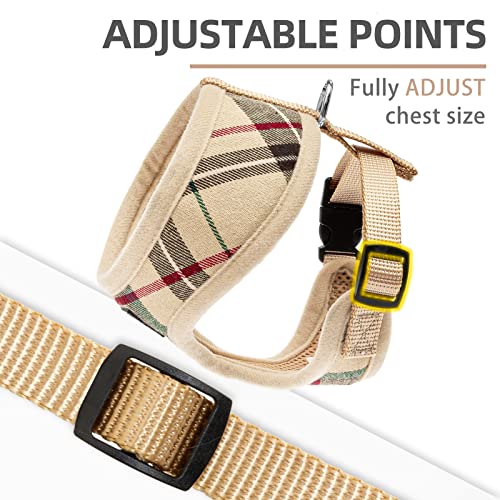 PUPTECK Soft Mesh Dog Harness and Leash Set Pet Puppy Cat Comfort Padded Vest No Pull Harnesses, Beige, S