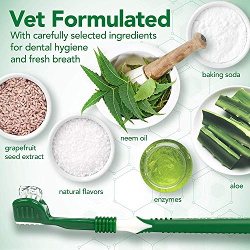 Dog Toothbrush & Enzymatic Toothpaste Kit for Cleaner Teeth