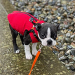 Load image into Gallery viewer, Red Zip-Up Fleece Dog Sweater with Leash Rings - Medium Size
