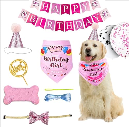 Dogs Deserve It Girl Dog Birthday Party Supplies 8 Pieces