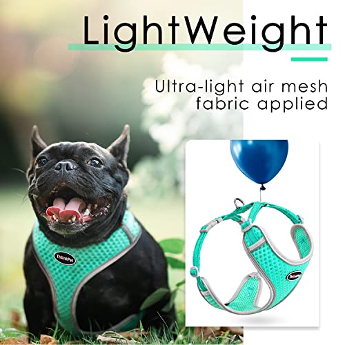 ThinkPet Reflective Breathable Soft Air Mesh No Pull Puppy Choke Free Over Head Vest Harness for Puppy Small Medium Dogs and Cats Teal Small