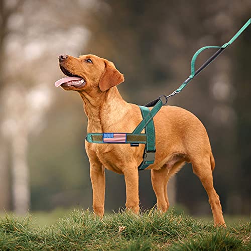 Annchwool No Pull Dog Harness with Soft Padded Handle,Reflective Strip Escape Proof and Quick Fit to Adjust Dog Harness,Easy for Training Walking for Small & Medium and Large Dog(Green,S)