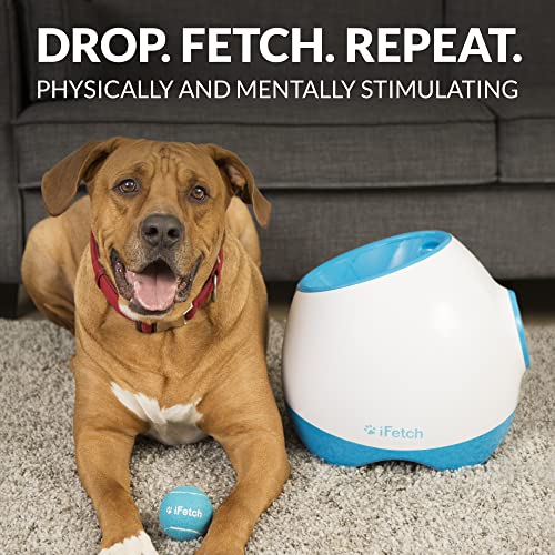 iFetch Too (Large) Interactive Ball Thrower for Dogs- Launches Standard Tennis Balls