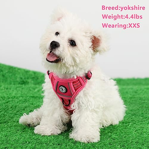 No Pull Dog Harness Dog Harness for Small Dogs Step-in Air Dog Harness All Weather Mesh Vest Harness for Small and Medium Dogs Adjustable Reflective Pet Walking Harness for Training (Rose, Small)