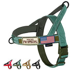 Load image into Gallery viewer, Annchwool No Pull Dog Harness with Soft Padded Handle,Reflective Strip Escape Proof and Quick Fit to Adjust Dog Harness,Easy for Training Walking for Small &amp; Medium and Large Dog(Green,S)
