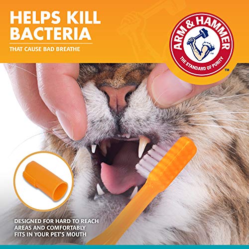 Arm & Hammer Pet Dental Kit for Cats | Tasty Tuna | 3-Piece Set