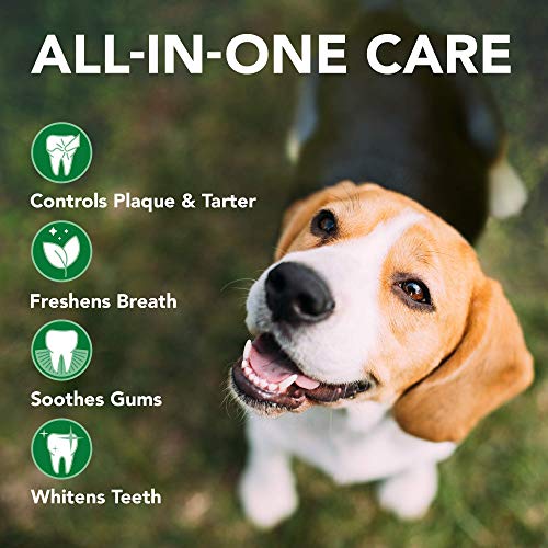 Dog Toothbrush & Enzymatic Toothpaste Kit for Cleaner Teeth