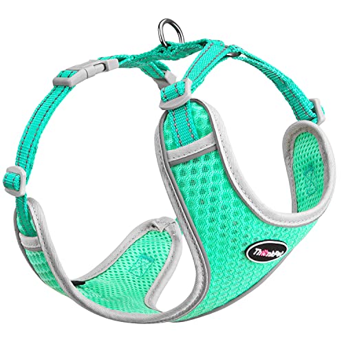 ThinkPet Reflective Breathable Soft Air Mesh No Pull Puppy Choke Free Over Head Vest Harness for Puppy Small Medium Dogs and Cats Teal Small