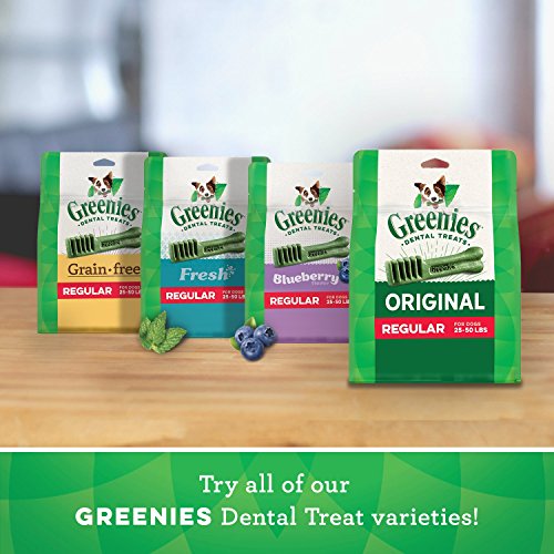 GREENIES Large Dental Chews for Dogs - 24 Treats, 36oz Pack, Promotes Healthy Teeth & Gums.