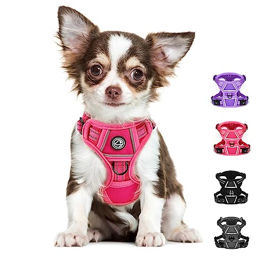 No Pull Dog Harness Dog Harness for Small Dogs Step-in Air Dog Harness All Weather Mesh Vest Harness for Small and Medium Dogs Adjustable Reflective Pet Walking Harness for Training (Rose, Small)