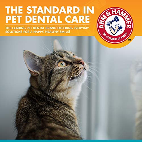 Arm & Hammer Pet Dental Kit for Cats | Tasty Tuna | 3-Piece Set