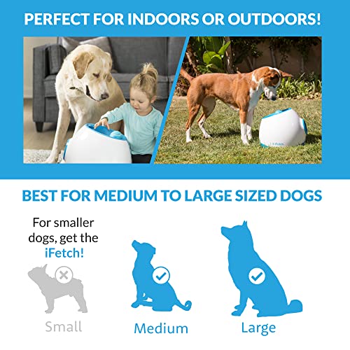 iFetch Too (Large) Interactive Ball Thrower for Dogs- Launches Standard Tennis Balls