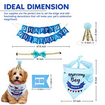 Load image into Gallery viewer, Dogs Deserve It Boy Dog Birthday Party Supplies 8 Pieces
