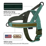 Load image into Gallery viewer, Annchwool No Pull Dog Harness with Soft Padded Handle,Reflective Strip Escape Proof and Quick Fit to Adjust Dog Harness,Easy for Training Walking for Small &amp; Medium and Large Dog(Green,S)
