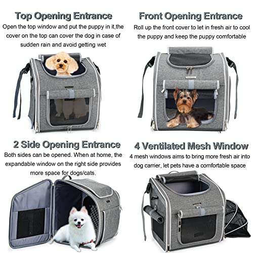 BABEYER Dog Bike Basket, Expandable Soft-Sided Pet Carrier Backpack with 4 Open Doors, 4 Mesh Windows for Small Dog Cat Puppies - Grey