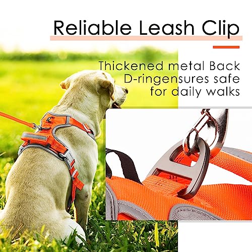 ThinkPet No Pull Harness Breathable Sport Harness with Handle-Dog Harnesses Reflective Adjustable for Medium Large Dogs,Back/Front Clip for Easy Control M Neon Orange